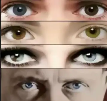 Gros plan sur les yeux de plusieurs personnages et d'Adolf Hitler
