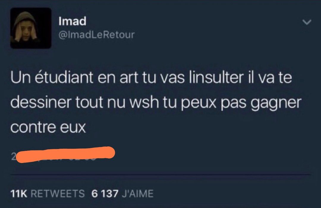 Un étudiant en art tu vas l'insulter il va te dessiner tout nu wsh tu peux pas gagner contre eux
