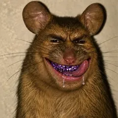 Rat avec un sourire humain et des dents violettes