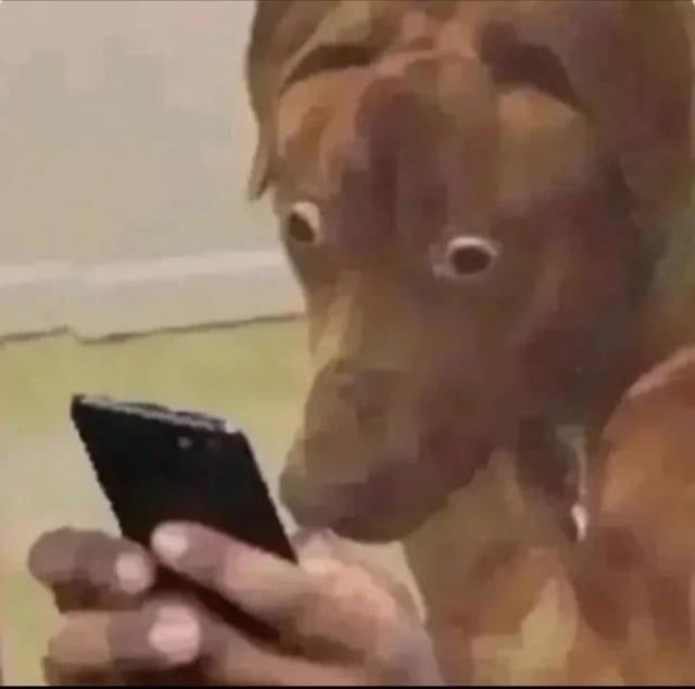 Chien avec des mains humaines regardant un smartphone choqué