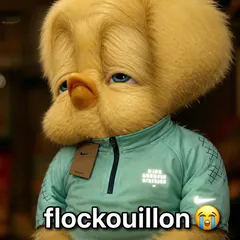 Titi réaliste triste en survêtement Nike, flockouillon