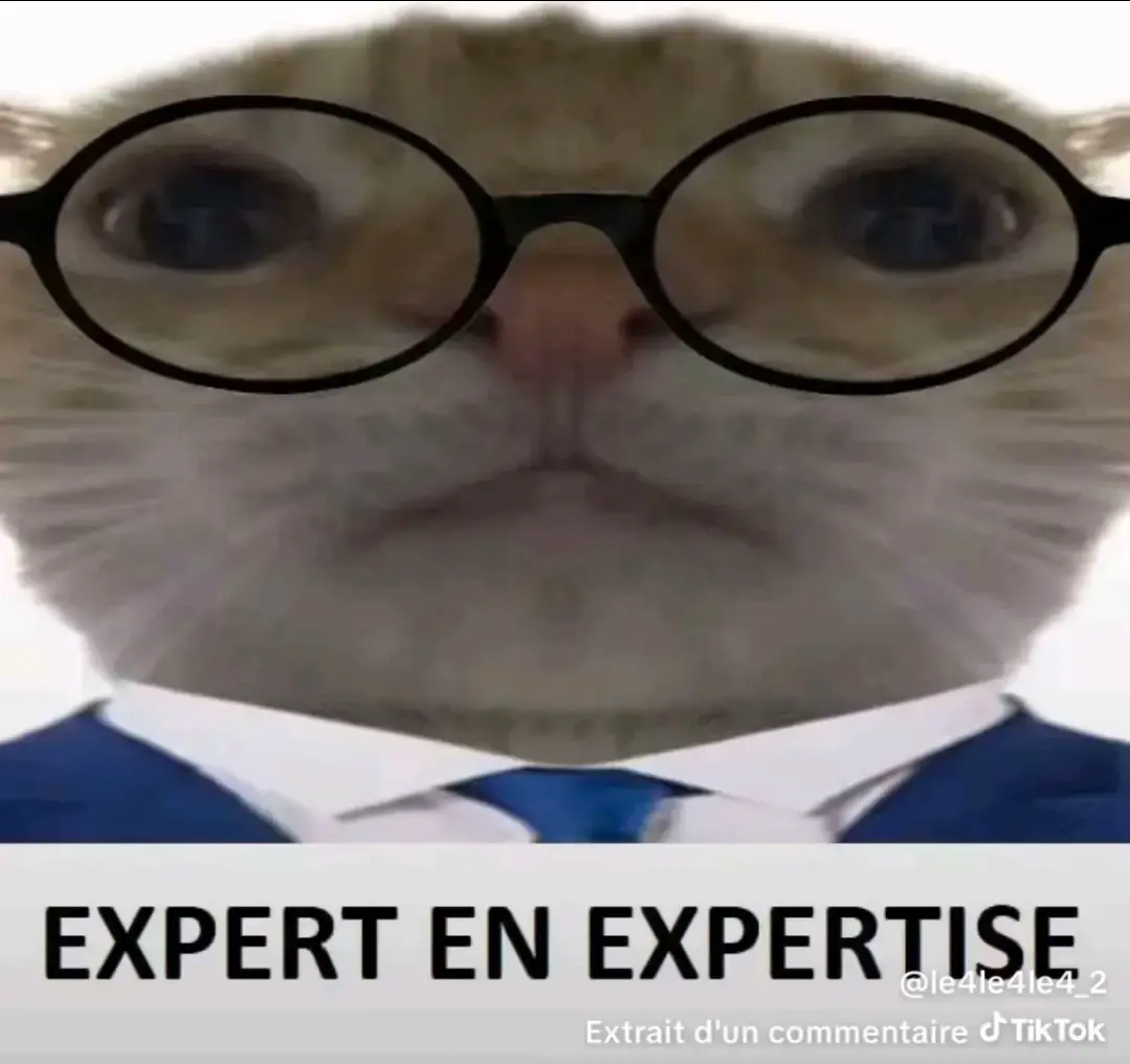 Chat en costume et lunettes expert en expertise