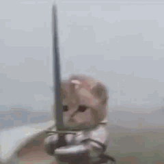 Chaton chevalier avec une épée résistant au vent
