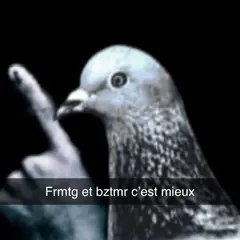 snapchat - Pigeon avec un doigt levé, Frmtg et bztmr c'est mieux