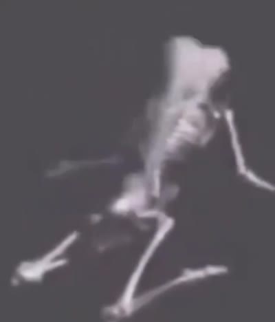 Deux squelettes en image de synthèse s'accouplent