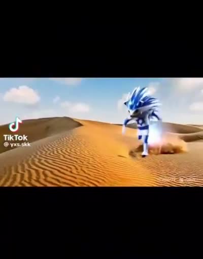 Compilation Sonic bleu et blanc juif israel