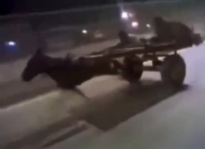 Un âne galope à toute vitesse en tirant une charrette sur une route
