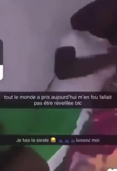 snapchat - Tout le monde a pris aujourd'hui m'en fou fallait pas être réveillé blc, je fais la sieste laissez moi, mec dort se réveille réveil fait un bras d'honneur (fuck) et se recouche rendort retourne