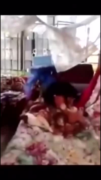 Un homme engueule son chien Dorlis qui fait n'importe quoi sur le lit