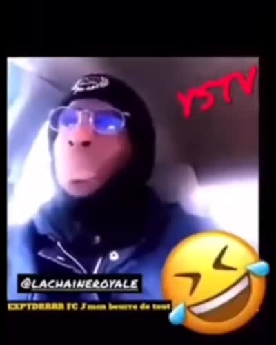 snapchat - Un homme liste tout ce dont il s'en bat les couilles en voiture