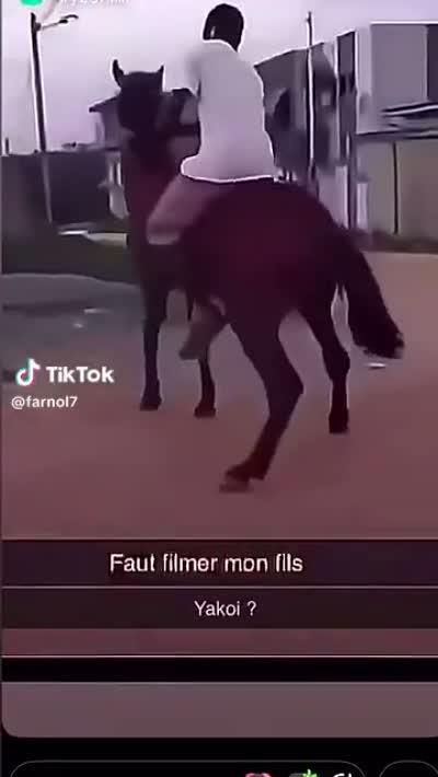 snapchat - Faut filmer ! Faut filmer mon fils, y a quoi ? Eh !