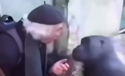 Homme au béret qui parle avec les mains à un singe