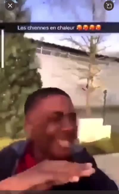 snapchat - Les chiennes en chaleur, Hé ! S'il vous plaît ! Chut ! Oh, je sais, je sais !