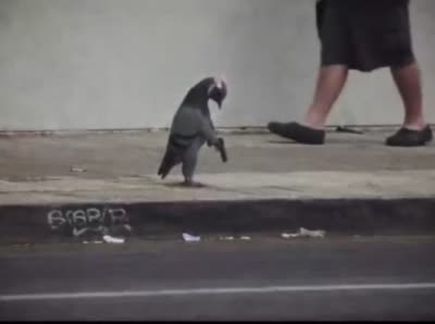 Pigeon avec un pistolet et un ruban rose qui se tire dessus