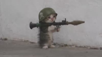 Chat soldat tire au bazooka