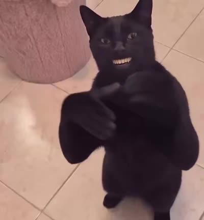 Chat noir qui applaudit des mains en signe de reconnaissance avec un visage humain