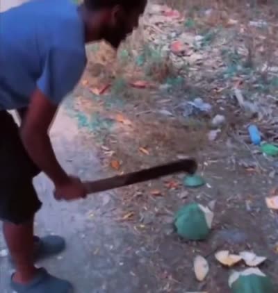 Un homme rate en coupant une noix de coco puis quelqu'un crie mi bombo!