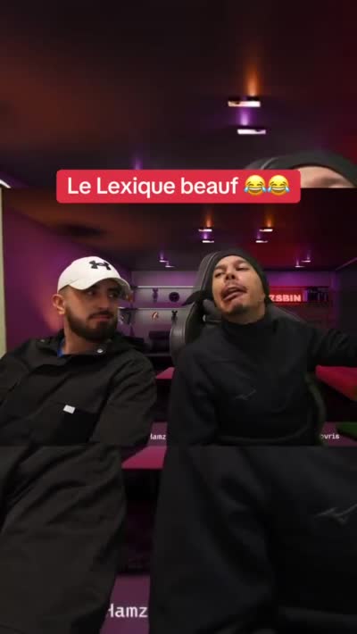 TikTok - Walid Sax Hamza pvris - Le lexique beauf